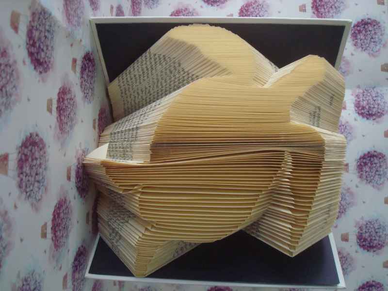 BookFolding - Tartaruga