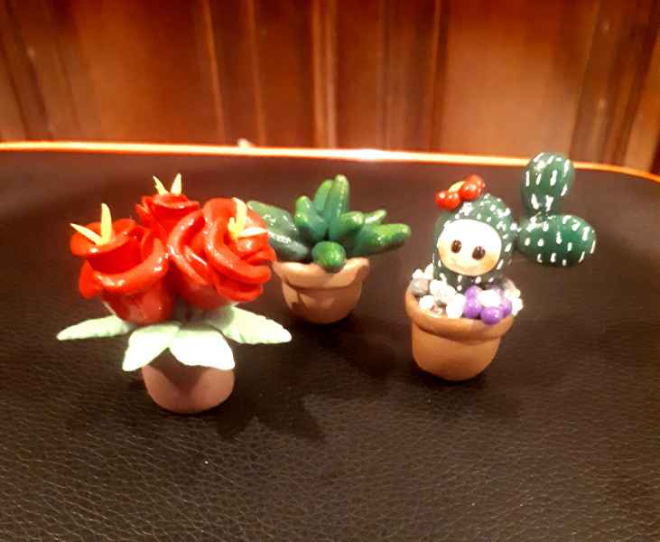 Piantine decorative