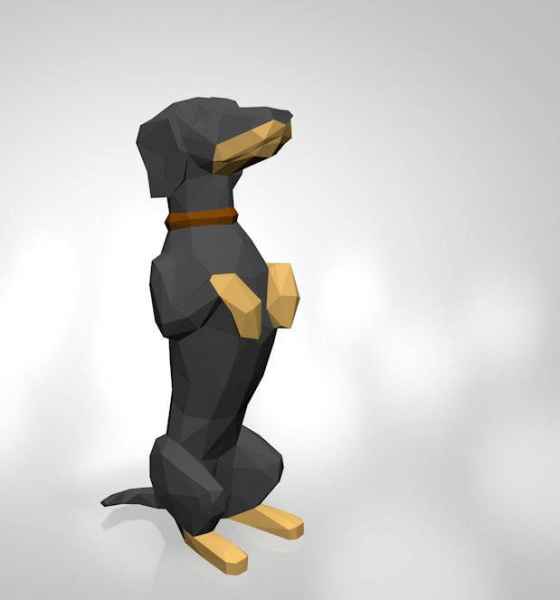 bassotto 3d