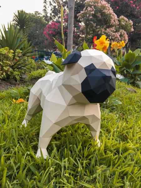 carlino 3d