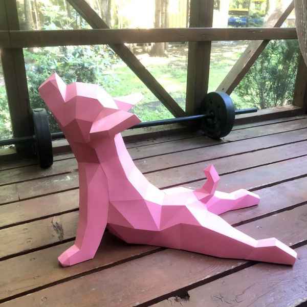 animali yoga